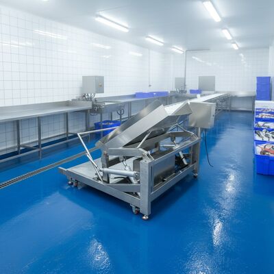 Buon prezzo Macchina di alimentazione automatica da 380V 50Hz Taper automatico 2100x1560x1300mm Flipping automatica per il serbatoio di tornitura di pesce in linea