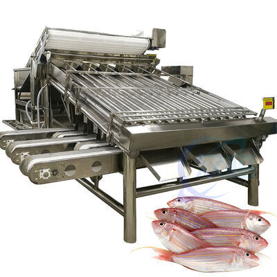 Buon prezzo Selezionatrice per pesci ad alta capacità Selezionatrice a rulli per pesci 4.9KW 2 T / H Selezionatrice per pesci di mare Linea di smistamento dei pesci Zolim Attrezzatura per dimensionamento dei pesci in linea