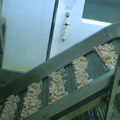 Buon prezzo Equipaggiamento automatico per impianti di trasformazione del pesce in linea