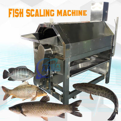 Macchina elettrica per la scalazione dei pesci 220V tipo tamburo multifunzione