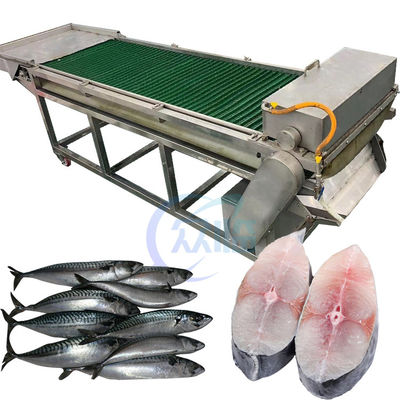 Buon prezzo Apparecchiatura per il taglio del pesce 1500W SUS304, macchina anti-corrosione per il taglio del tonno in linea
