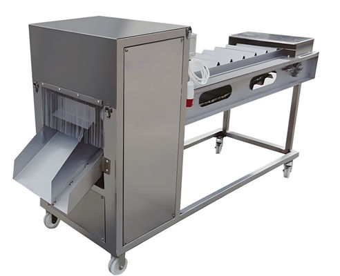 Buon prezzo SUS304 Macchina industriale per il taglio del pesce 380V 60-90 pezzi/min in linea