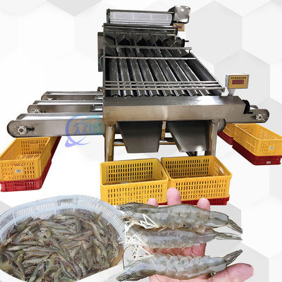 Buon prezzo 3P Multiscene gamberetti di classificazione macchina multifunzione automatica in linea