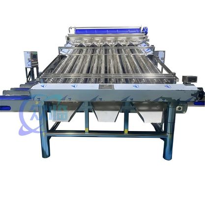 Buon prezzo 4900W SUS304 Macchina per la classificazione dei gamberetti, Macchina per la classificazione del lavaggio dei gamberetti in linea