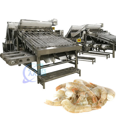 Buon prezzo Macchine per la classificazione dei gamberetti industriali Anticorrosione Multiuso in linea