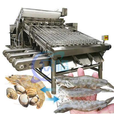 Buon prezzo Macchina per la classificazione dei gamberetti in acciaio inossidabile pratica 6000x4000x2200mm in linea