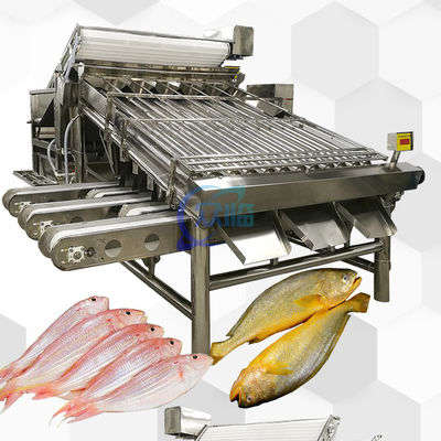Buon prezzo Macchina automatica di classificazione dei pesci 4900W anti-erosione multiuso in linea