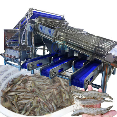Buon prezzo Macchina per la selezione dei gamberetti industriali Multiscene impermeabile Automatica in linea