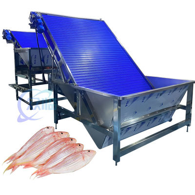 Buon prezzo Anti-corrosione gamberetti Sorting Machine Multiscene pratico 4.9KW in linea