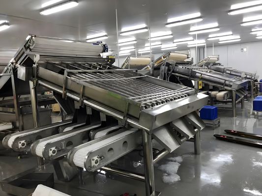 Buon prezzo 3P Durable Shrimp Grading Machine, attrezzatura anti-erosione per la classificazione dei gamberi in linea