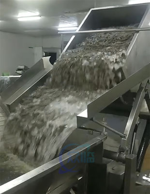 2.2KW Macchina elettrica per la lavorazione di gamberetti pratica per filetti di pesce