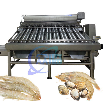 Buon prezzo 380V 50Hz Macchina di classificazione dei gamberetti multifunzionale per la misurazione dei gamberetti in linea