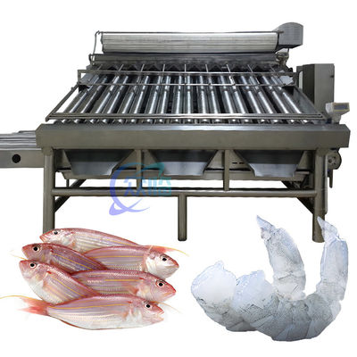 Buon prezzo Stabile Macchina di classificazione dei pesci piccoli Multifunzione 6000x5200x2200mm in linea