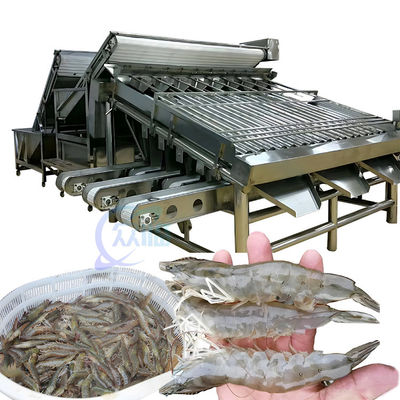 Buon prezzo Macchina per la classificazione dei gamberetti da 1500 kg multiuso per industria in linea