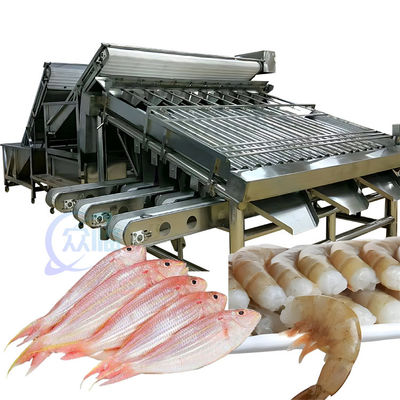 Buon prezzo ISO 1500KG Macchina per la selezione dei frutti di mare, Sortatore di dimensioni multifunzionale per pesci in linea