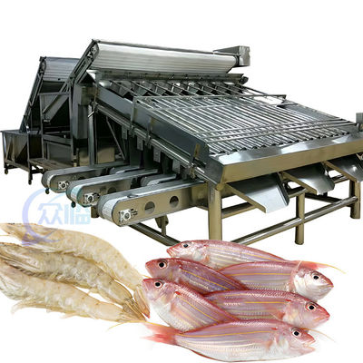 Buon prezzo 4.9KW Practical Fish Grading Machine, attrezzatura automatica per la classificazione dei pesci in linea