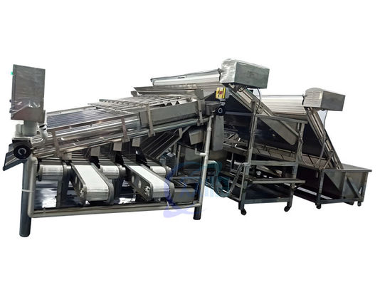 Buon prezzo 4900W Macchina per la classificazione dei gamberetti Controllo a rulli Anti-erosione Automatica in linea