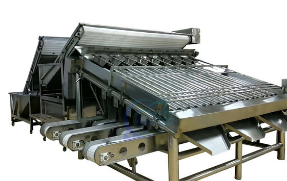 Buon prezzo Macchina di classificazione dei gamberetti a rulli Materiale polifunzionale in acciaio inossidabile in linea