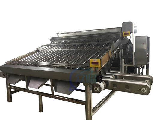Buon prezzo Durabile 4.9KW gamberetti classificatore macchina automatica per gamberetti dimensionamento in linea