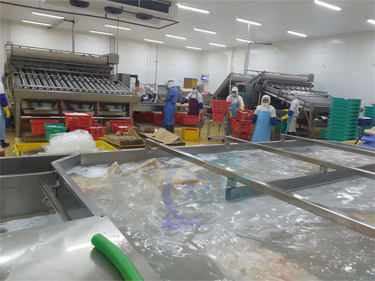 Buon prezzo ISO Industrial Automatic Fish Processing, impianto multifunzionale di trasformazione dei prodotti ittici in linea