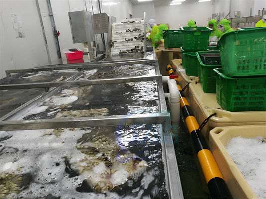 Buon prezzo SUS304 Macchina di lavorazione del pesce stabile impermeabile per la pulizia dei gamberetti in linea