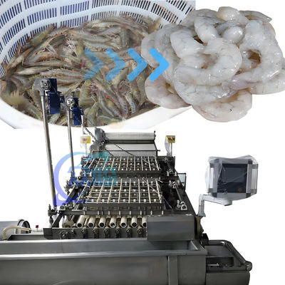 Buon prezzo SUS304 PLC Peeling Machine per gamberetti multiuso 3600x2260x2200mm in linea