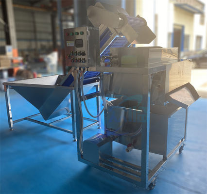 Buon prezzo Macchina per la pulizia dei pesci multifunzione anti-erosione automatica in linea