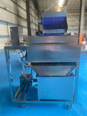 Buon prezzo Equipaggiamento stabile per impianti di lavorazione del pesce da 1500W, separatore di baffi per gamberetti industriali in linea