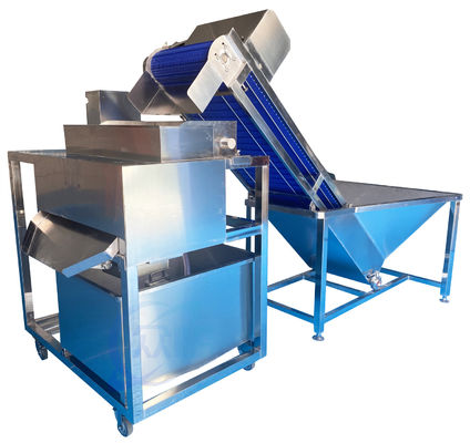 Buon prezzo Macchina automatica per la pulizia dei gamberetti 1.5KW Stabile grande capacità in linea