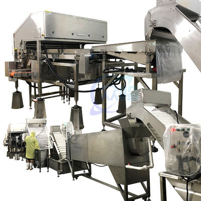 Centrale di lavorazione di gamberetti da 800W, sistema automatico di rimozione della testa del gamberetto.