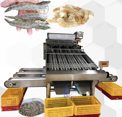 Buon prezzo Apparecchiature pratiche per la selezione dei gamberetti multiscene anti-corrosione in linea