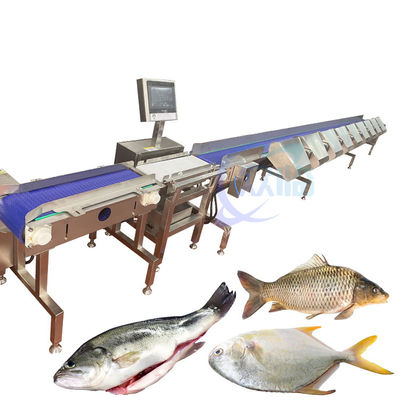 Buon prezzo Macchina di classificazione del peso del pesce completamente automatica in linea