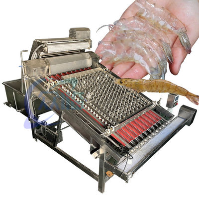 Buon prezzo Macchine per la depellazione di gamberetti industriali in acciaio inossidabile 3000W 304 in linea