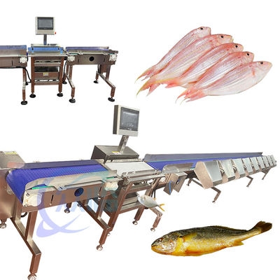 Buon prezzo Macchina di selezione dei pesci vivi ad alta precisione Attrezzatura per la selezione dei pesci vivi Tilapia in linea