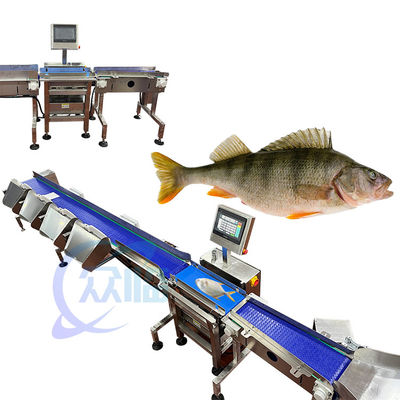 Buon prezzo 121pcs/min Pesce Grader Pesce Pesante e Sorting Machine per l'ambiente acquatico in linea