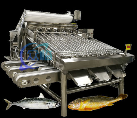 Buon prezzo Sistema di classificazione del sgombro di macchine di classificazione dei pesci di piccole dimensioni di grande capacità 5 T/h in linea