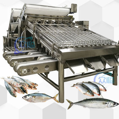 Buon prezzo Macchina di selezione a alta velocità Saury Saury Roller Grader 5 Operatori in linea