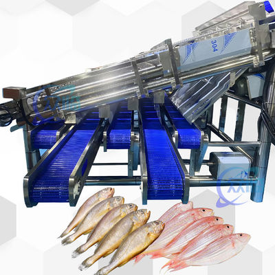 Buon prezzo 18pcs Roller SS304 Piccolo pesce Sorting Machine Piccolo pesce linea di classificazione in linea
