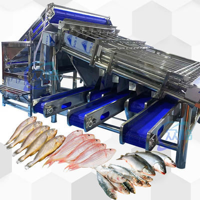 Buon prezzo Macchine di taglio di pesci di piccola capacità in linea