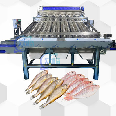 Buon prezzo Classificatore automatico di pesci con 12 rulli Classificatore automatico di pesci per 4-5 dimensioni in linea