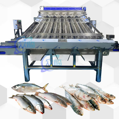 Buon prezzo Convogliatore di plastica Saury Sorting Machine Yellow Croaker Sorting Machine in linea