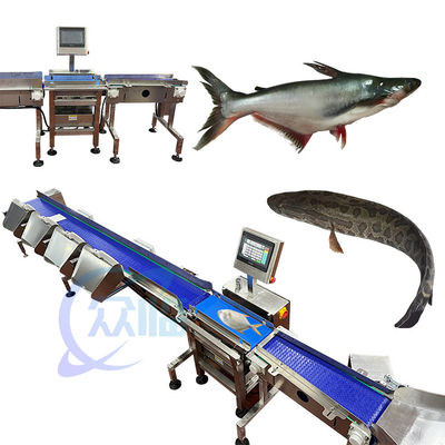 Buon prezzo Anticorrosione pesce classificatore di peso automatico pesce classificatore di peso in linea