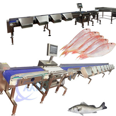 Buon prezzo Classificatore di pesci pelagici Classificatore di pesci pelagici 120-150 pezzi/min in linea