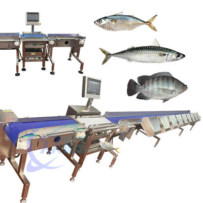 Buon prezzo Cina Specialità pesce di granchio classificatore pesce di granchio classificatore pesce di granchio pesce di granchio pesce classifica in linea