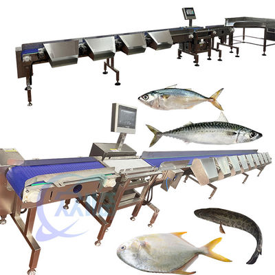 Buon prezzo Buono prezzo Tilapia Grader Tilapia Sort Tilapia Sizter Tilapia Classify Dalla Cina in linea