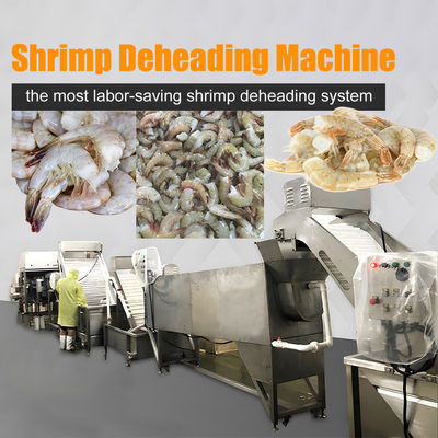 Smart Shrimp Head Removal Screening Machine for Seafood Processing Factory Efficiente macchina per tagliare la testa di gambero