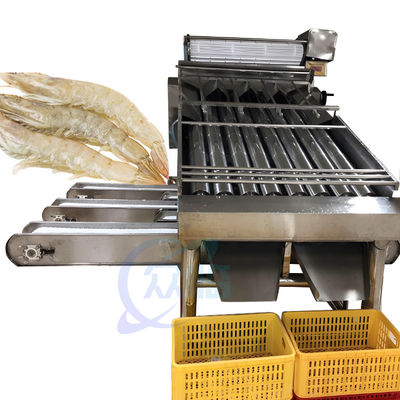 Buon prezzo Macchina di selezione di specificazione del pesce e del gamberetto di acciaio inossidabile dell'attrezzatura di elaborazione del gamberetto e dei frutti di mare 304 in linea