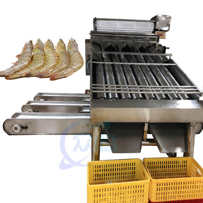Buon prezzo Gamberetto dell'attrezzatura di processo dei frutti di mare che lava la linea di produzione del gamberetto della selezionatrice gamberetto che lava selezionatrice in linea
