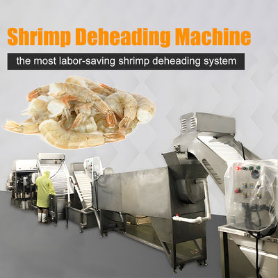 Linea di lavorazione per la rimozione della testa di gamberetti in acciaio inossidabile