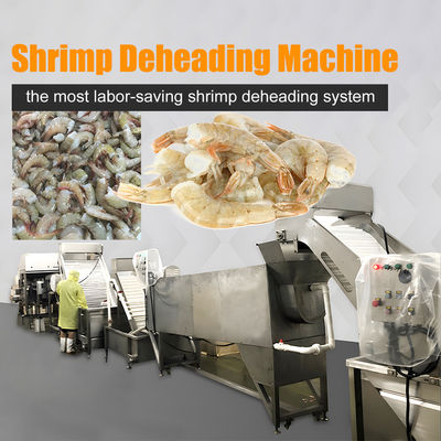 Linea di produzione del sistema automatico di decapitazione dei gamberetti
